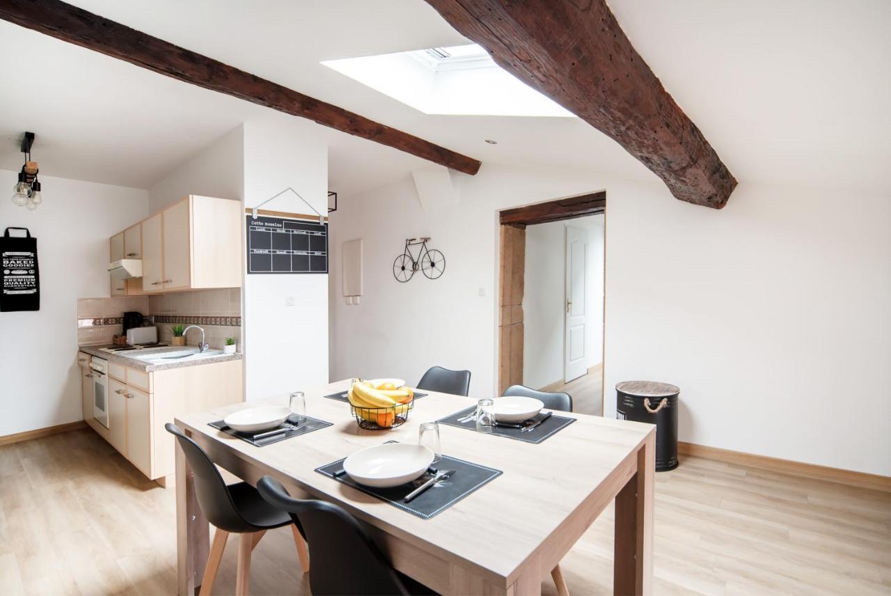 Appartement Cosy Et Moderne En Plein Coeur Du Centre Ville Mâcon المظهر الخارجي الصورة